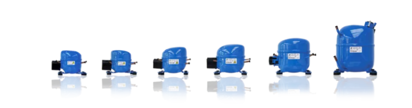 1737857621432494ACCc.png image.png